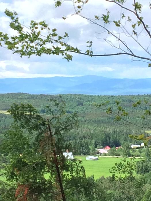 LAubergine