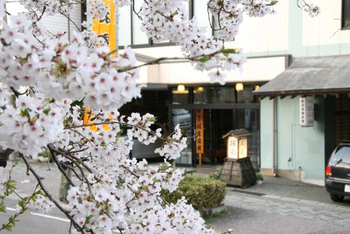 弥彦村で人気の民泊 民宿 ゲストハウス25選 Staylist