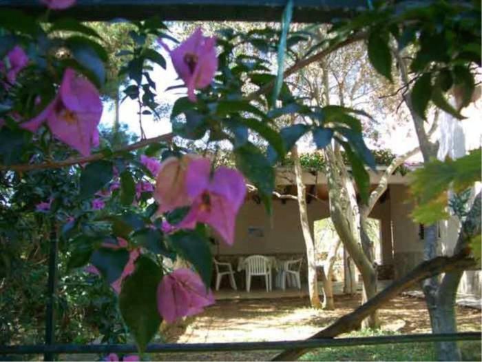 VisForYou Apartments