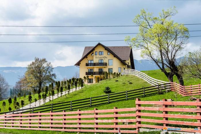 Pension Creasta de Vis