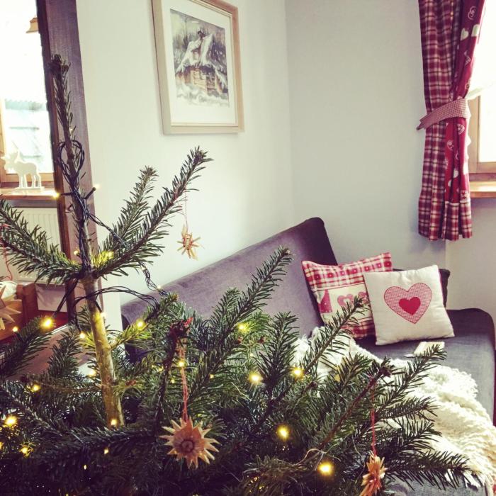 Apartament Jaworzyna