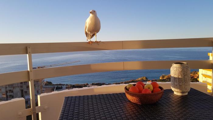 Ma vue mer en Algarve