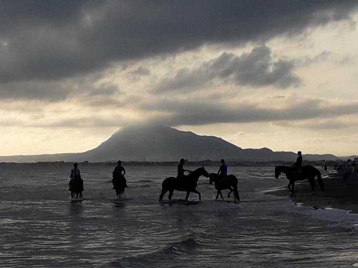 Oliva playa a 2 minutos junto a instalaciones hipicas MET