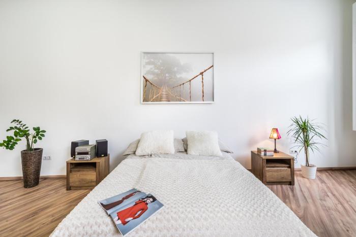 Budapest City Apartment