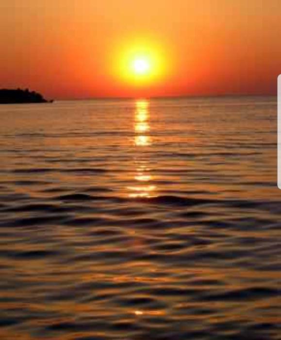 David Summerland Apartments Mamaia