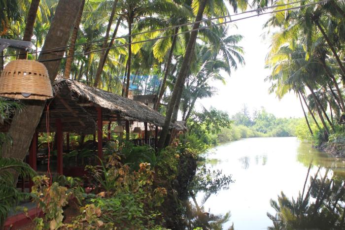 Palm Trees Ayurvedic Heritage