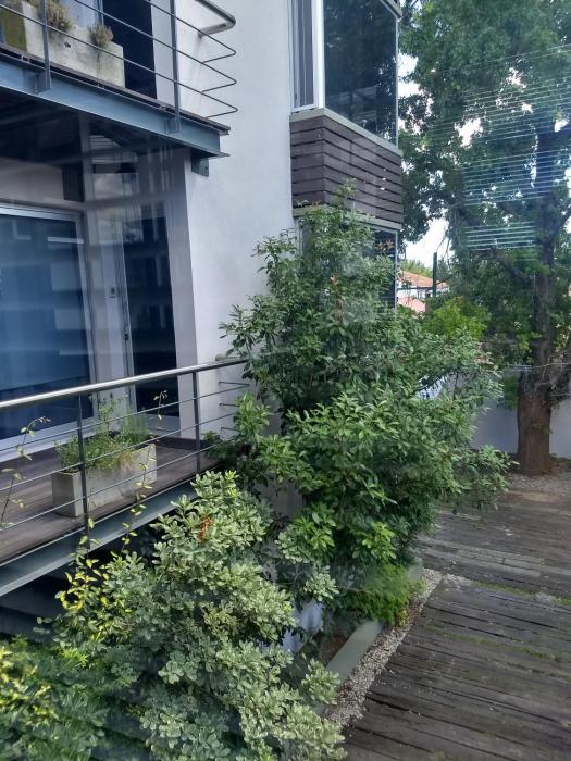 Refugio Urbano Apartamentos