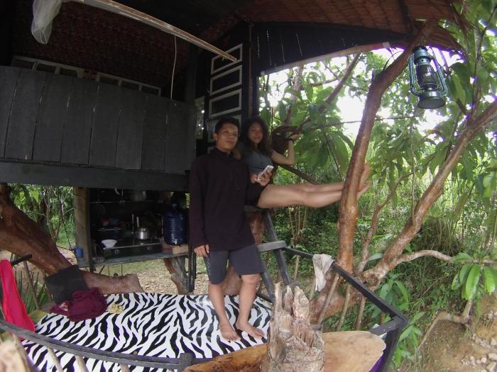Abe tree house