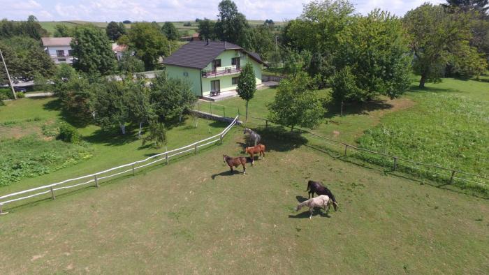 Green apartment Plitvice