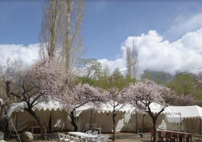 Royal Deluxe Camp & Resort, Hunder- Nubra