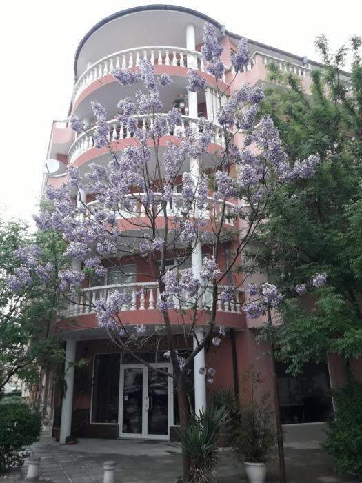Art Guest House Orchidea
