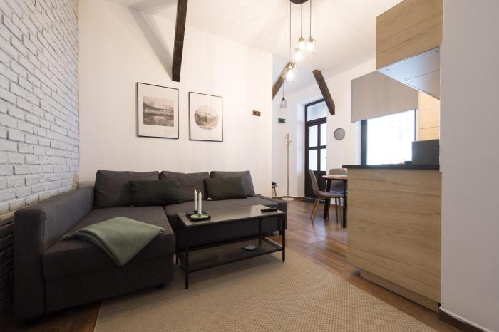 Lovely Brasov Flat with Patio and Mountain Views