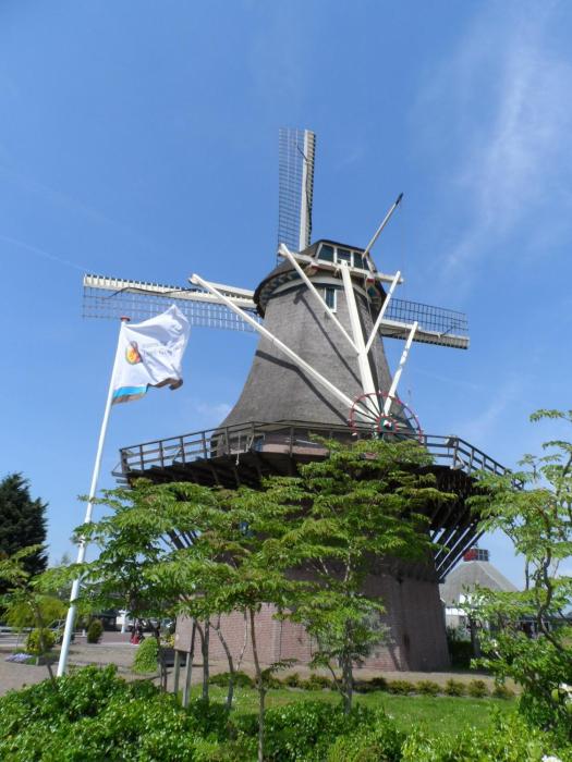 Apartment Amsterdam New West - Free parking