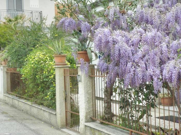 RITAS ROOM ON THE SEA