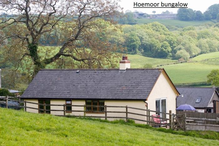 Hoemoor Farm
