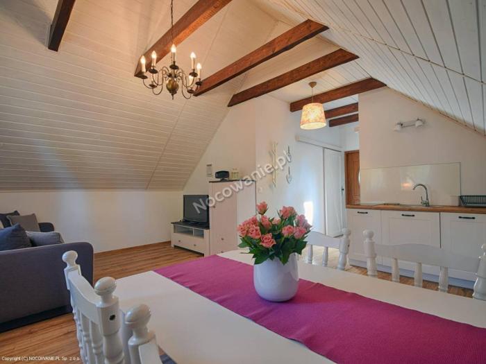 Apartament pod Dębem