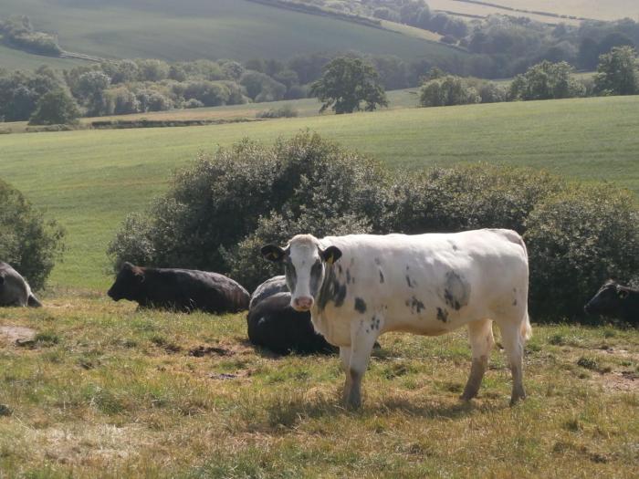 Harepath Farm Cottages 1