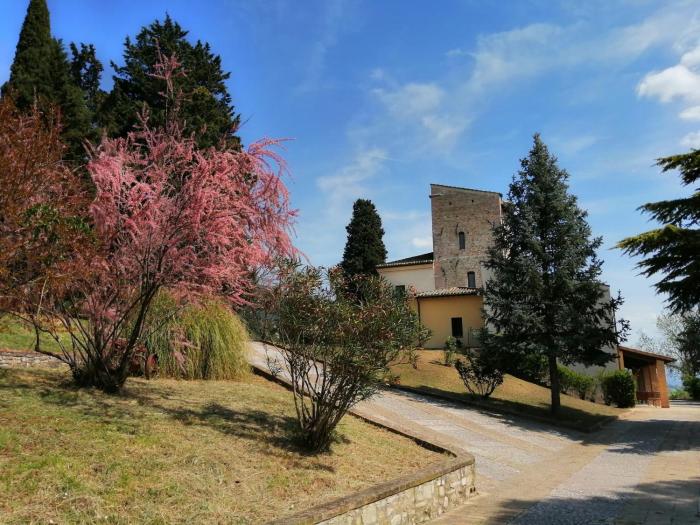 Casa per Ferie Ulivo dAssisi