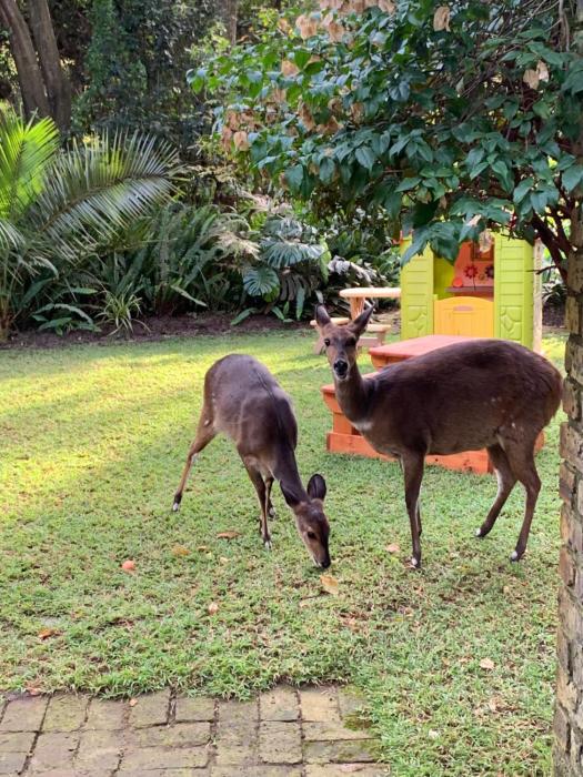 Versteek, Bokkie se le plek