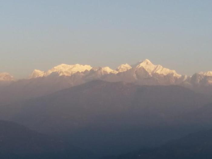 VAMOOSE CHAMLING
