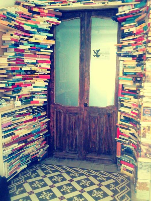 Ratones de Biblioteca
