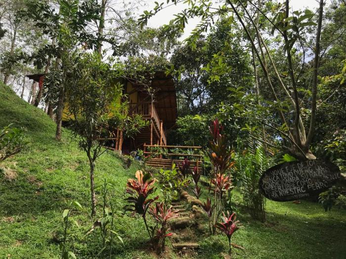 ESTACION PARAISO DE DANTAS