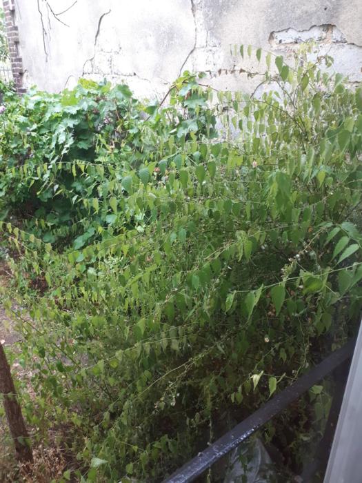 Maison paisible a 15min de Paris