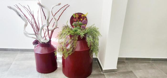 Pinheiro de Monsaraz-Casas da Colmeia T2