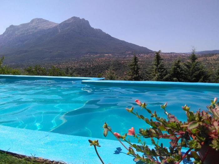 Villa LOleandro