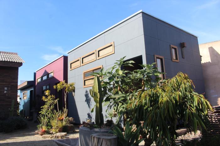 Los Cactus de Islón