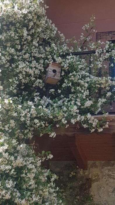 LA TORRE DE CUBILLAS