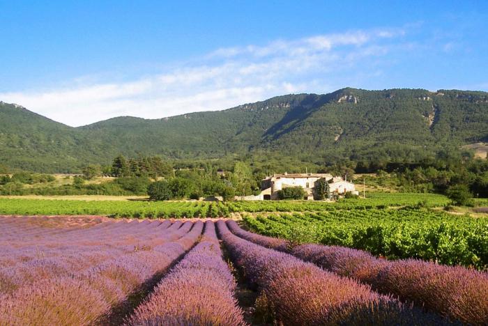 Gîtes du Château dAlençon