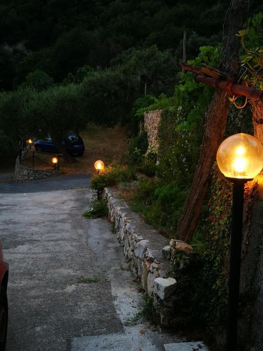 Gli ulivi della Monda