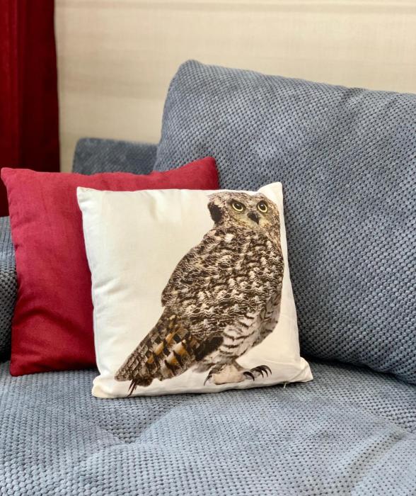 Аренда апартаментов у моря в Одессе на Большом Фонтане