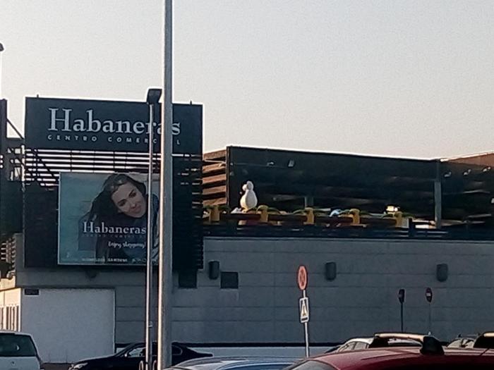 Sentral appartement in Torrevieja