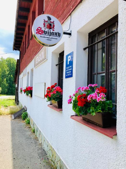 Penzion horská chata Světlá