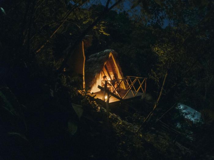 El Tigrillo Rio Claro by Los Colores Ecoparque