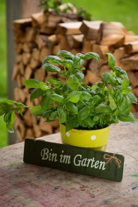 Gartenstudio Waldblick