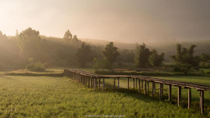 Phuruarounmai Organic Living Resort