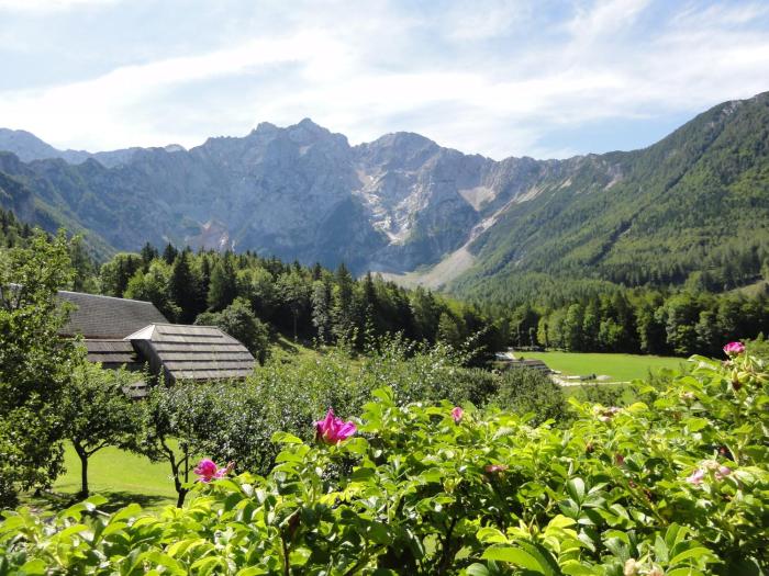 Makek Alpine Oasis