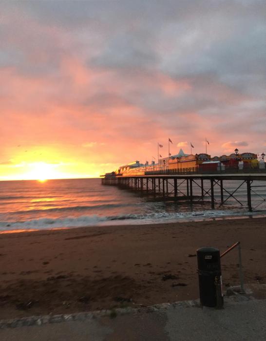 Aquamarina Christmas Illuminations, Decorate your own Christmas Tree