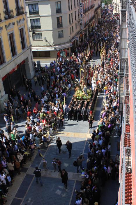 Vía Principalis- muy céntrico