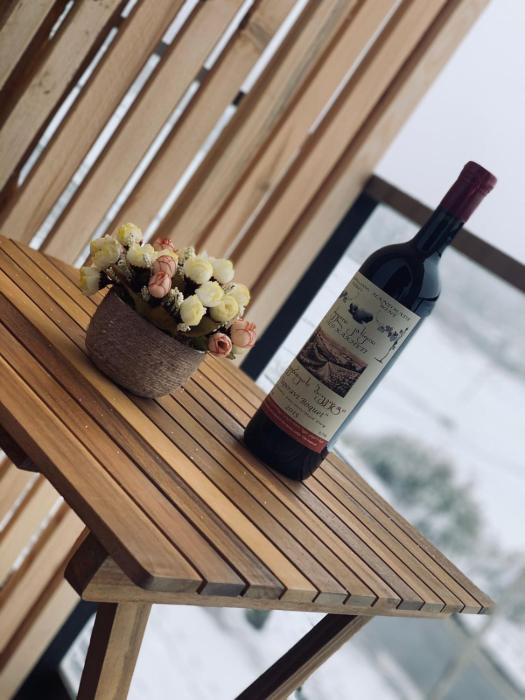 Bakuriani Plaza A317