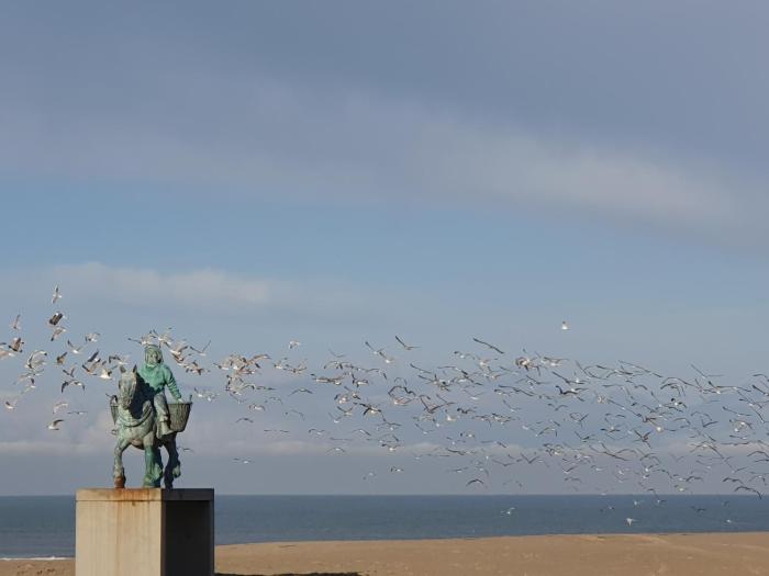 Oostduinkerke Apartments