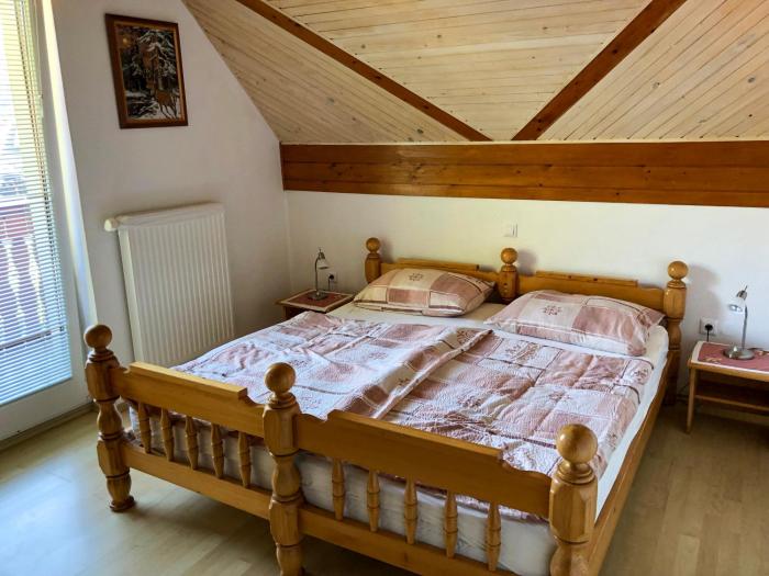 Apartmaji BOHINJ