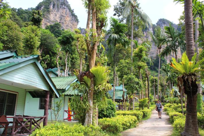 Chill Out Bar and Jungle Bungalows