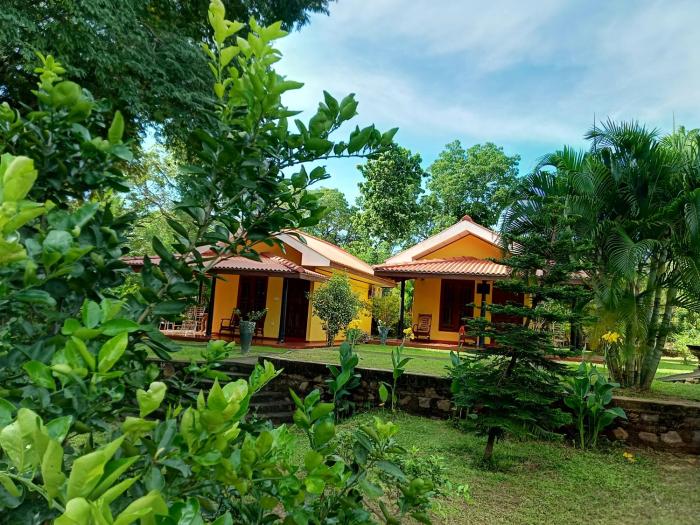 Amazon Cabanas