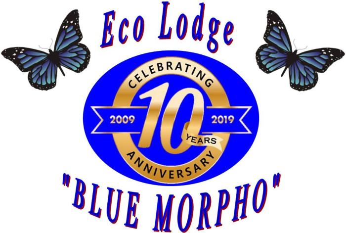 Ecolodge Blue Morpho