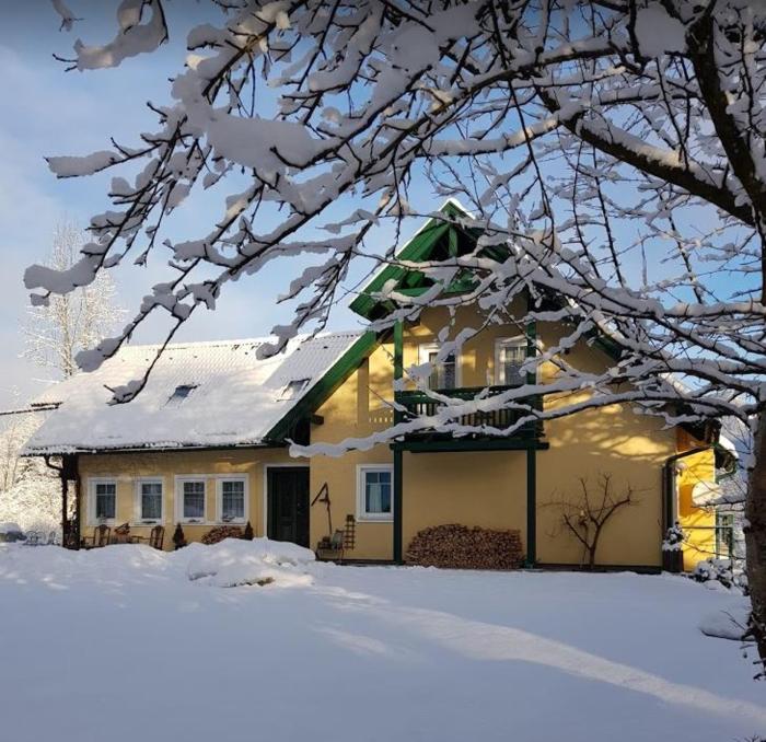 Landhaus HALLSTATT FEELING - Apartment - Self Check-in