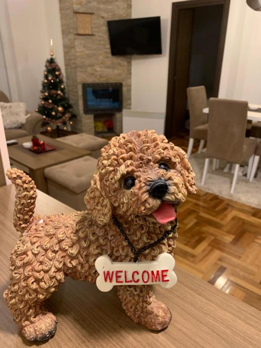 Kraljevi Cardaci SPA 11 25